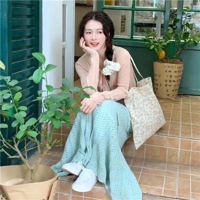 继承者风云